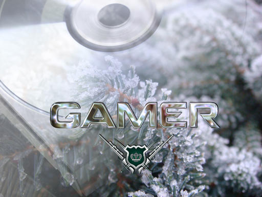 GAMER.ru - Зима, обои торжествуя....